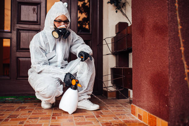 Reliable Cockroach Control contractor in Huron, OH by Nex Pest Control